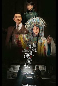 Сериал Зимняя бегония 2020 Смотреть Онлайн Военный