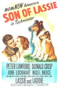 Фильм Сын Лесси 1945 Смотреть Онлайн Военный